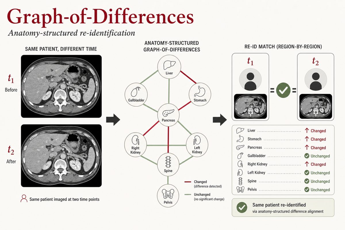 Graph-of-Differences: Anatomy-Structured Difference Alignment for Medical Image Re-Identification