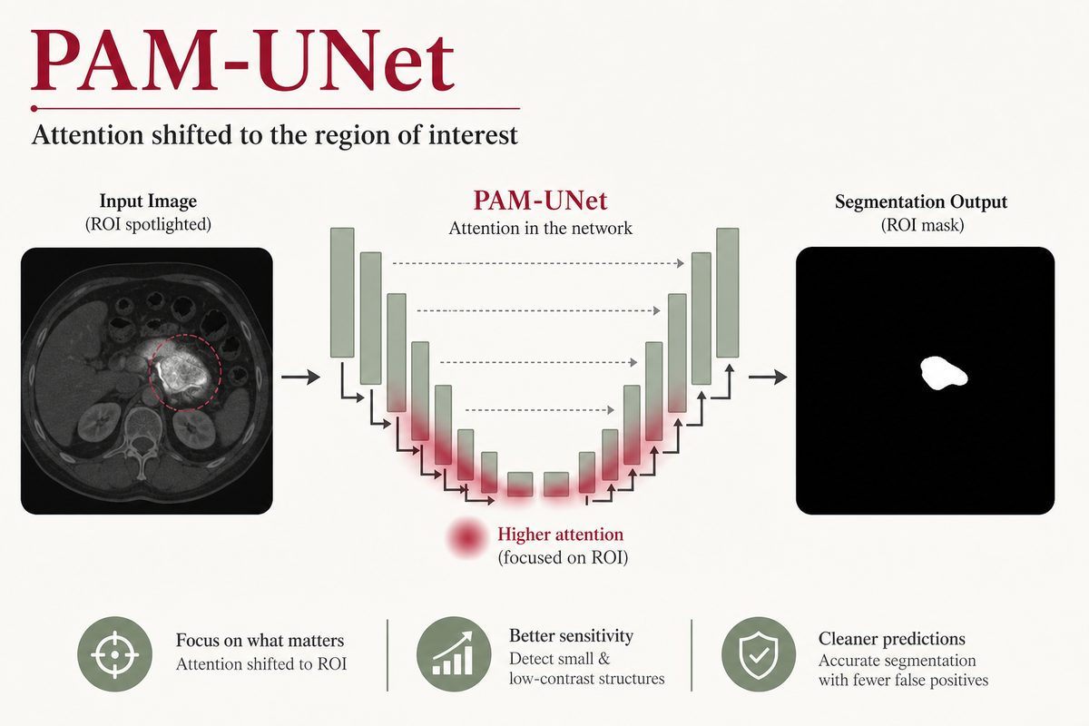 PAM-UNet: Shifting Attention on Region of Interest in Medical Images